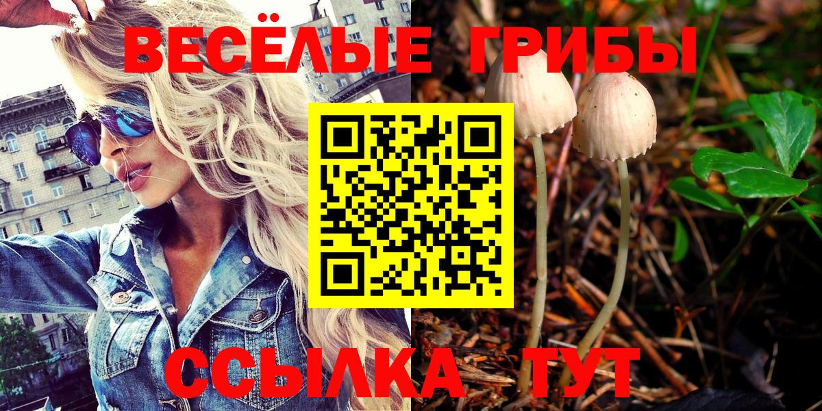 где купить наркотик  Вход с VPN  Кузнецк  Псилоцибиновые грибы Magic Shrooms 